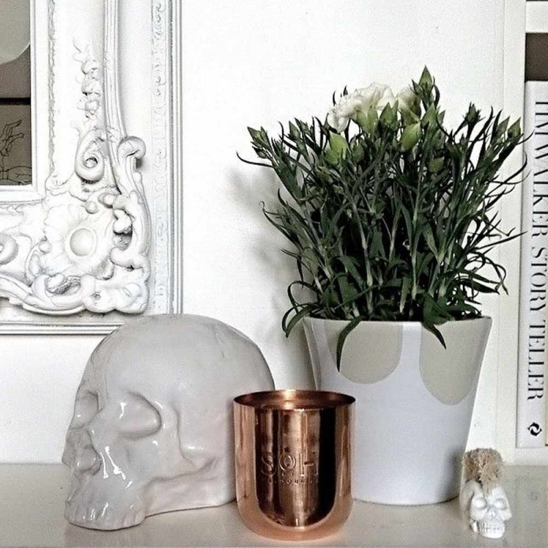 Memorabilia - My Skull Memorabilia - My Skull