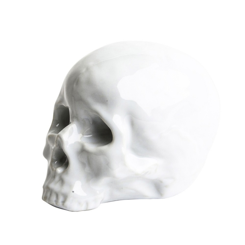 Memorabilia - My Skull Memorabilia - My Skull
