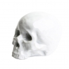 Memorabilia - My Skull