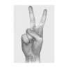 V Hands