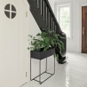 Plant Box