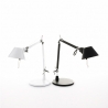 Tolomeo