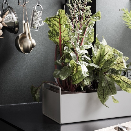 Plant Box Small
