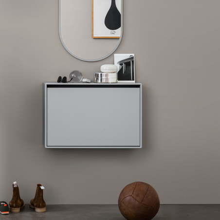 hide shoe cabinet