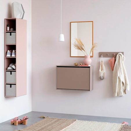 hide shoe cabinet