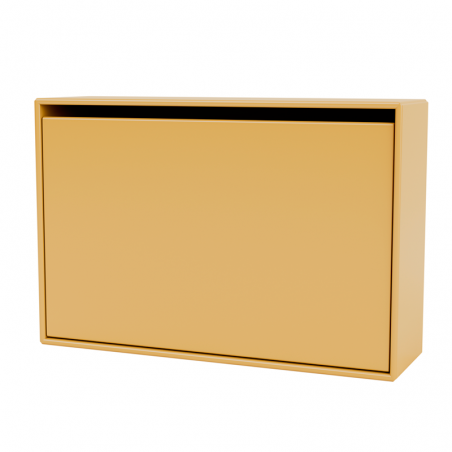 hide shoe cabinet