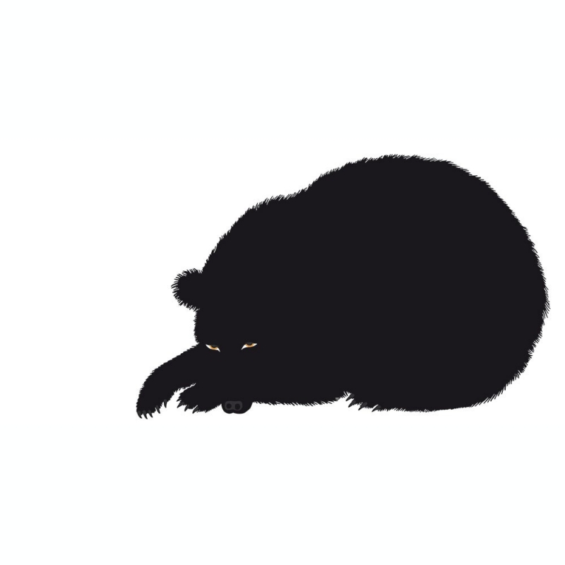 Sei, L'Orso Sei, L'Orso